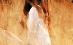 久久精品国产在热久久2019